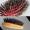 ケイプロ　GROOMER天然毛ブラシ　ＮＯ．２１１ その他の画像1